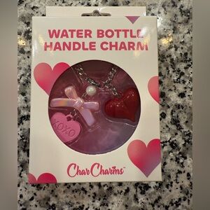 NWT CharCharms Heart Valentines Bottle Charm
